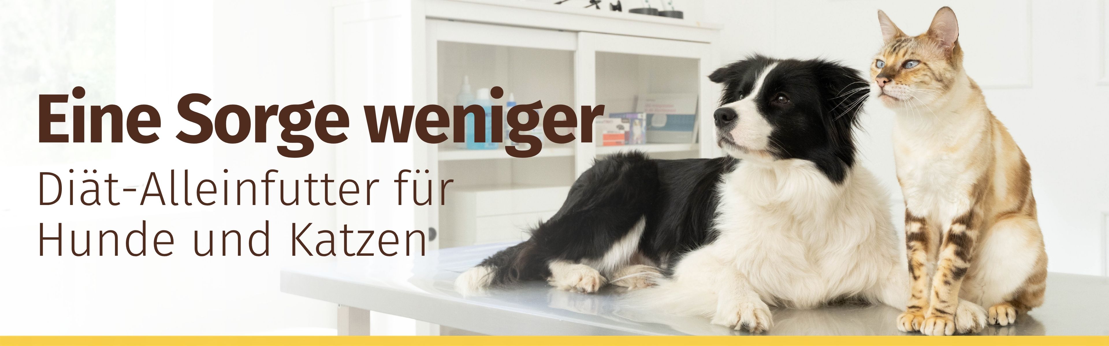 Eine Sorge weniger. VetLine - Jetzt auch für Katzen. Spare 12% auf VetLine für Hunde und Katzen.