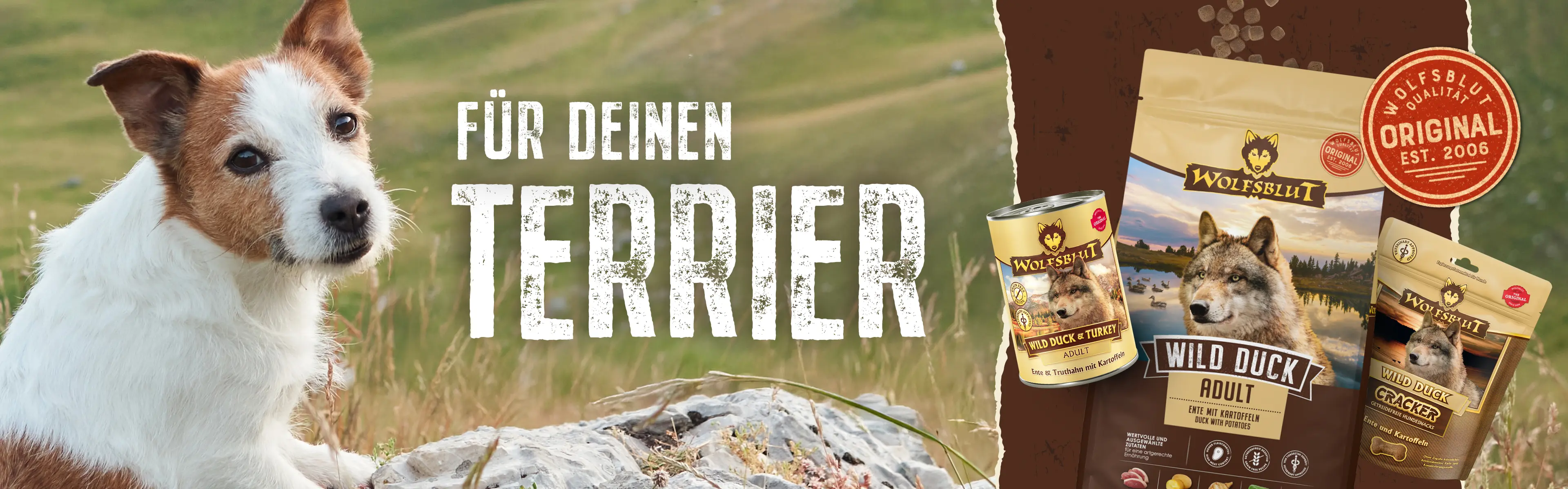 Wolfsblut für deinen Terrier